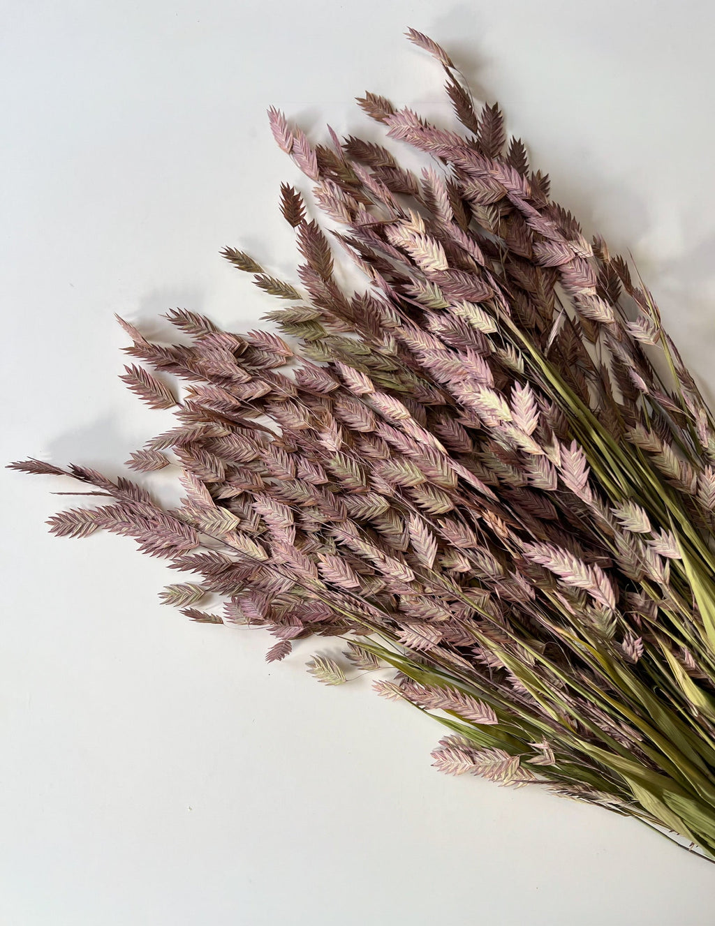 Dried Sea Oats